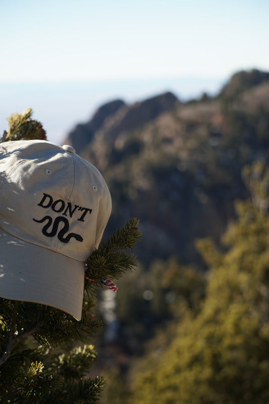 DON'T Snake Yupoong Dad Cap